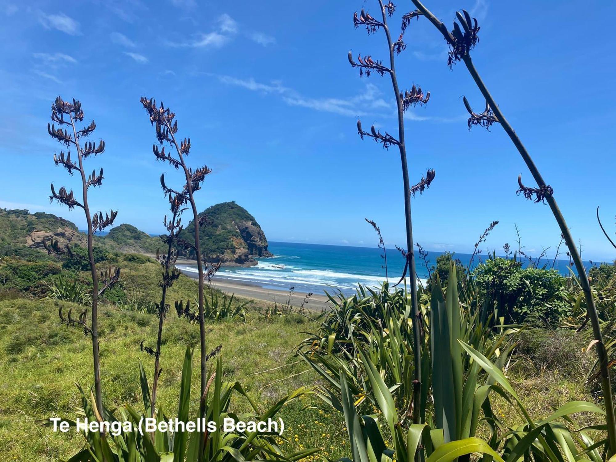Willa Te Henga Hideaway Bethells Beach Zewnętrze zdjęcie